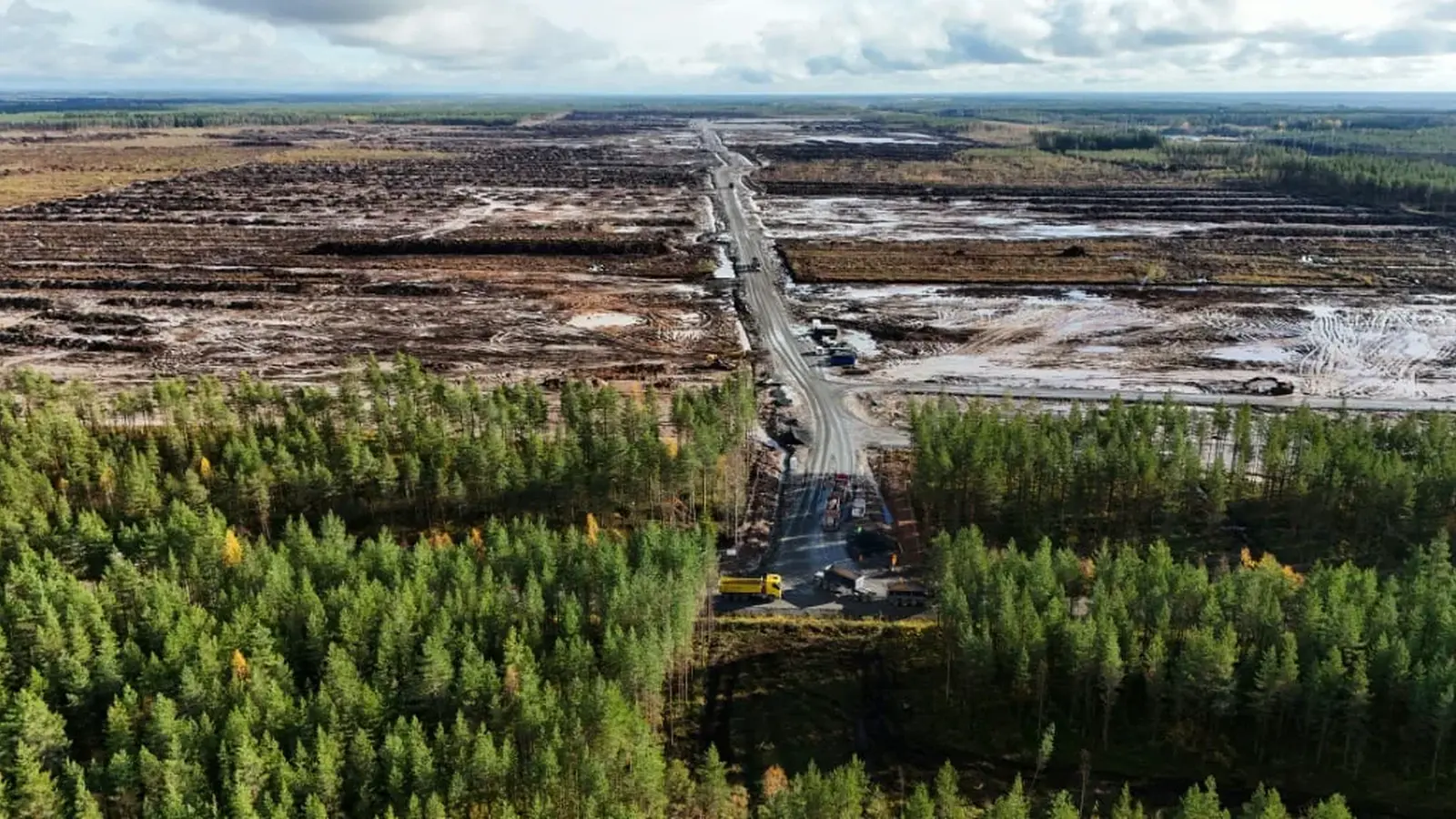Google beschuldigd van kappen van 300 ha bos in Finland