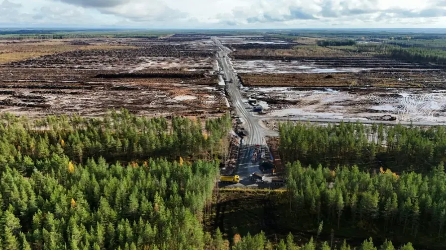 Google beschuldigd van kappen van 300 ha bos in Finland